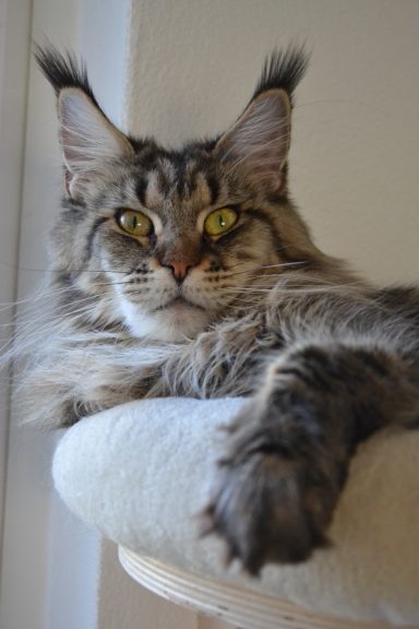 1.5 Jahre